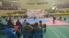 2017年鹰潭市青少年跆拳道锦标赛圆满落幕